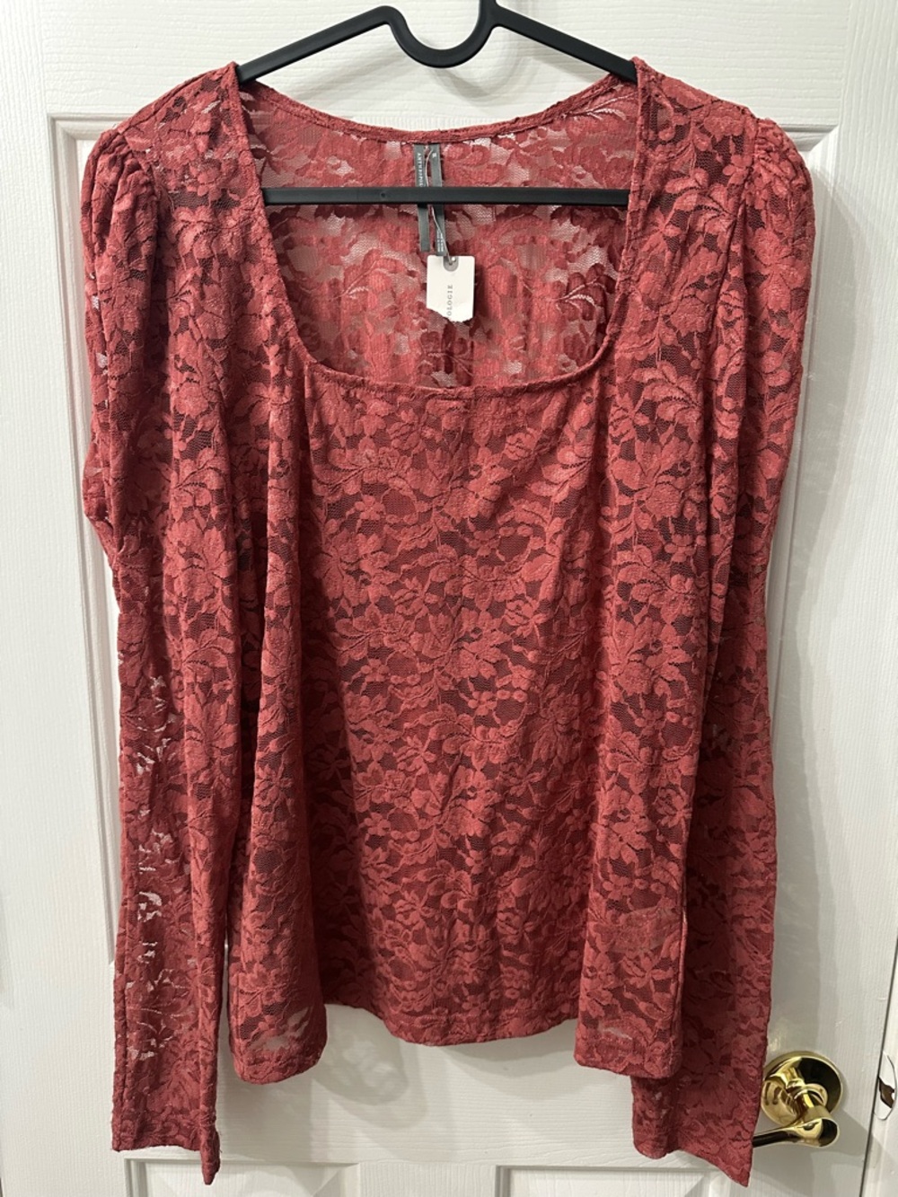 Anthropologie Lace Top Long Sleeve Square Neck Rose Mauve Sheer XL NWT